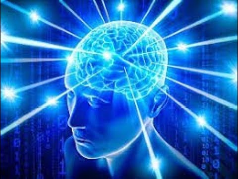 Autism Detox Protocol